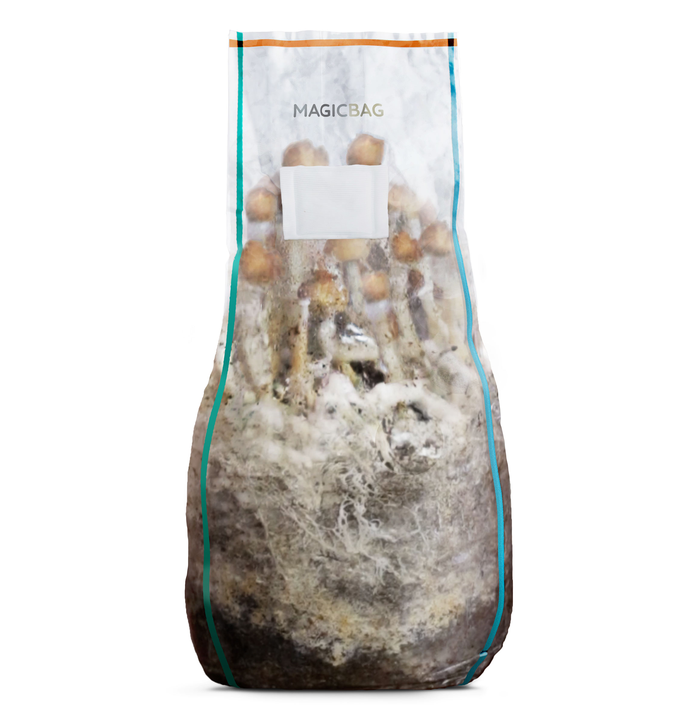  Booming Acres, The Magical 5lb All-in-One Mushroom Grow Bag, Mushroom Grow Kit, Harvest Your own Happiness