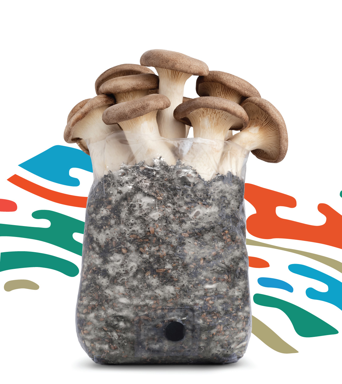 Mushroom Grow Bag - Mobile