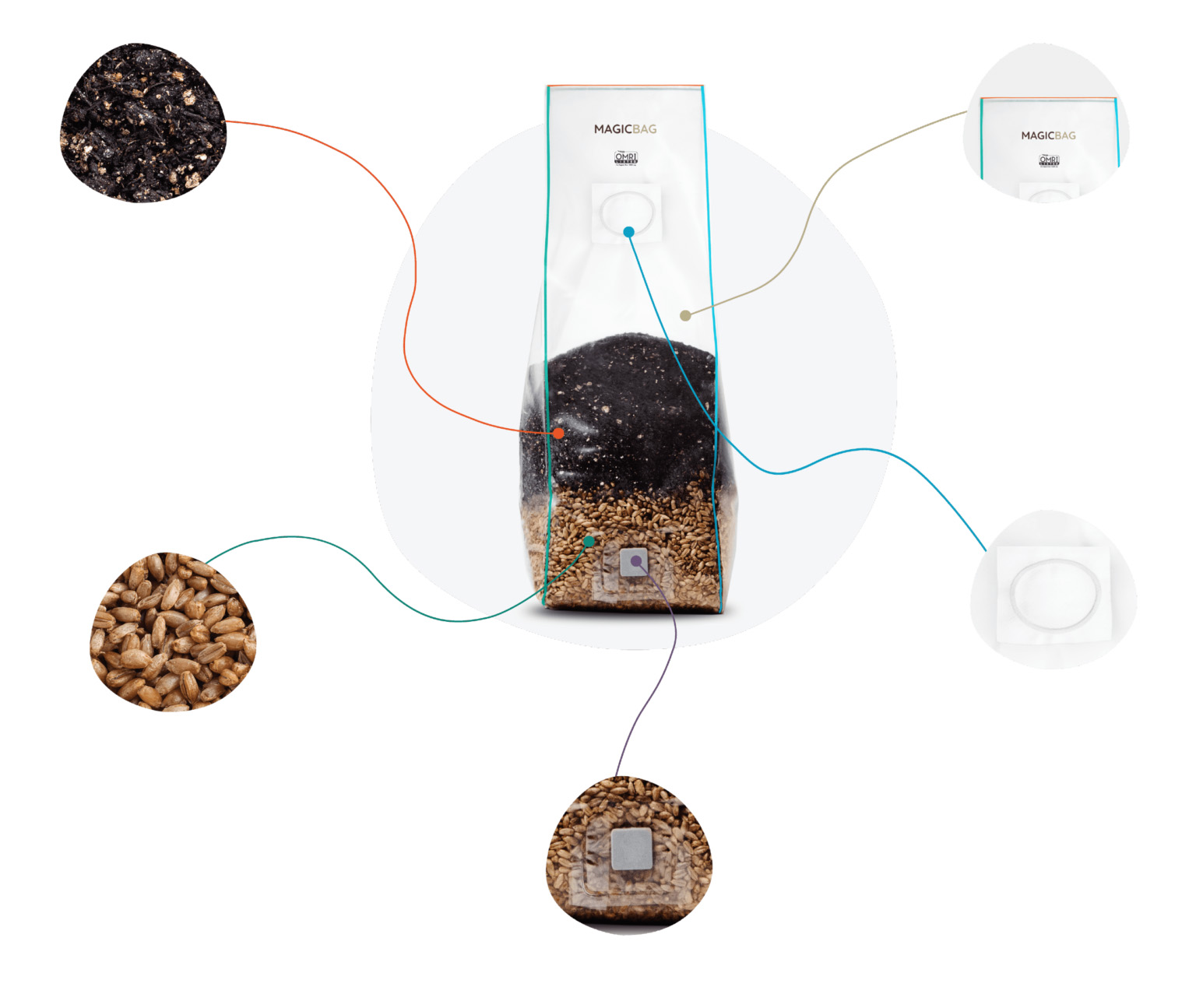 Magic Bag Ingredients Wide 2 1536x1295 1 4